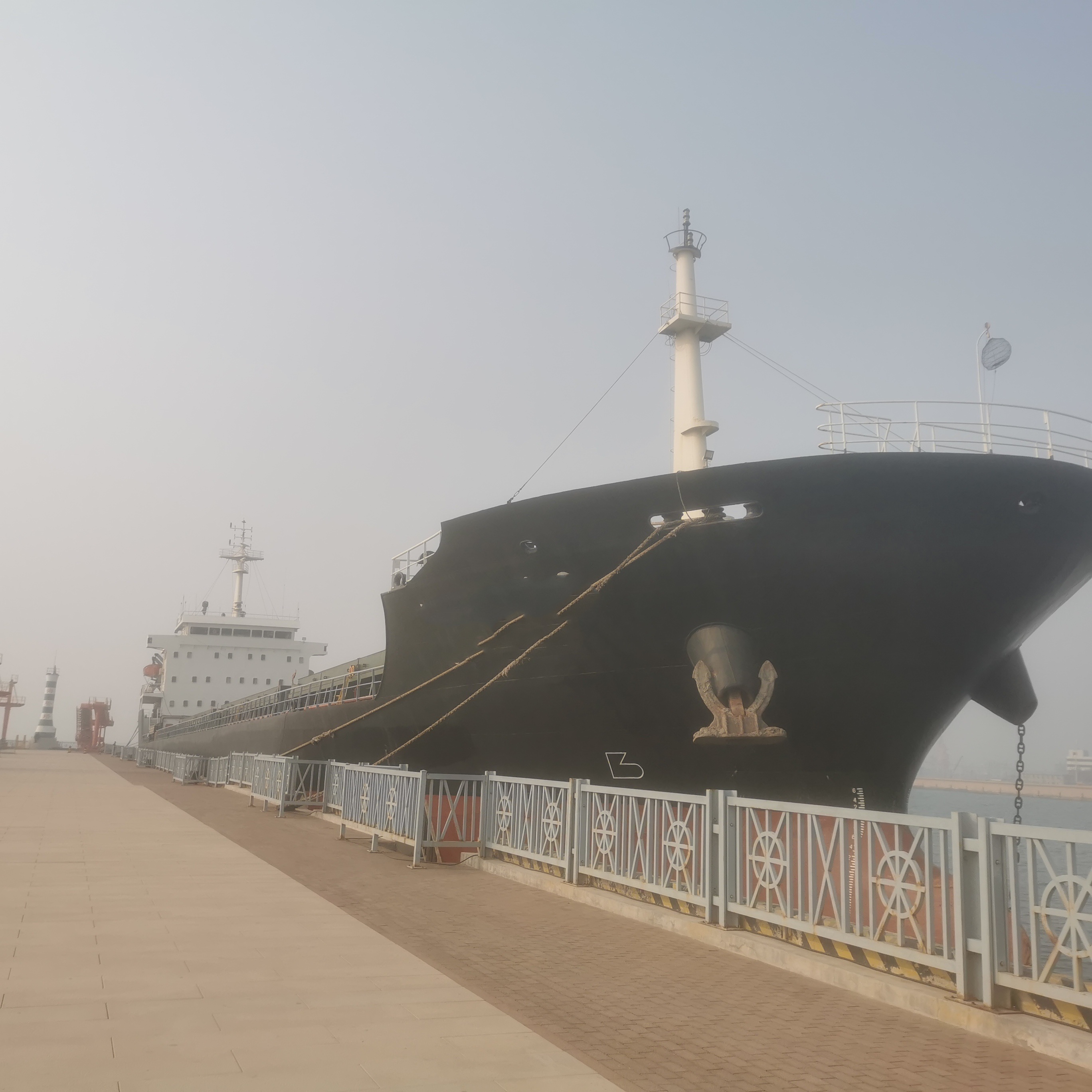 10778 T Bulk Carrier For Sale