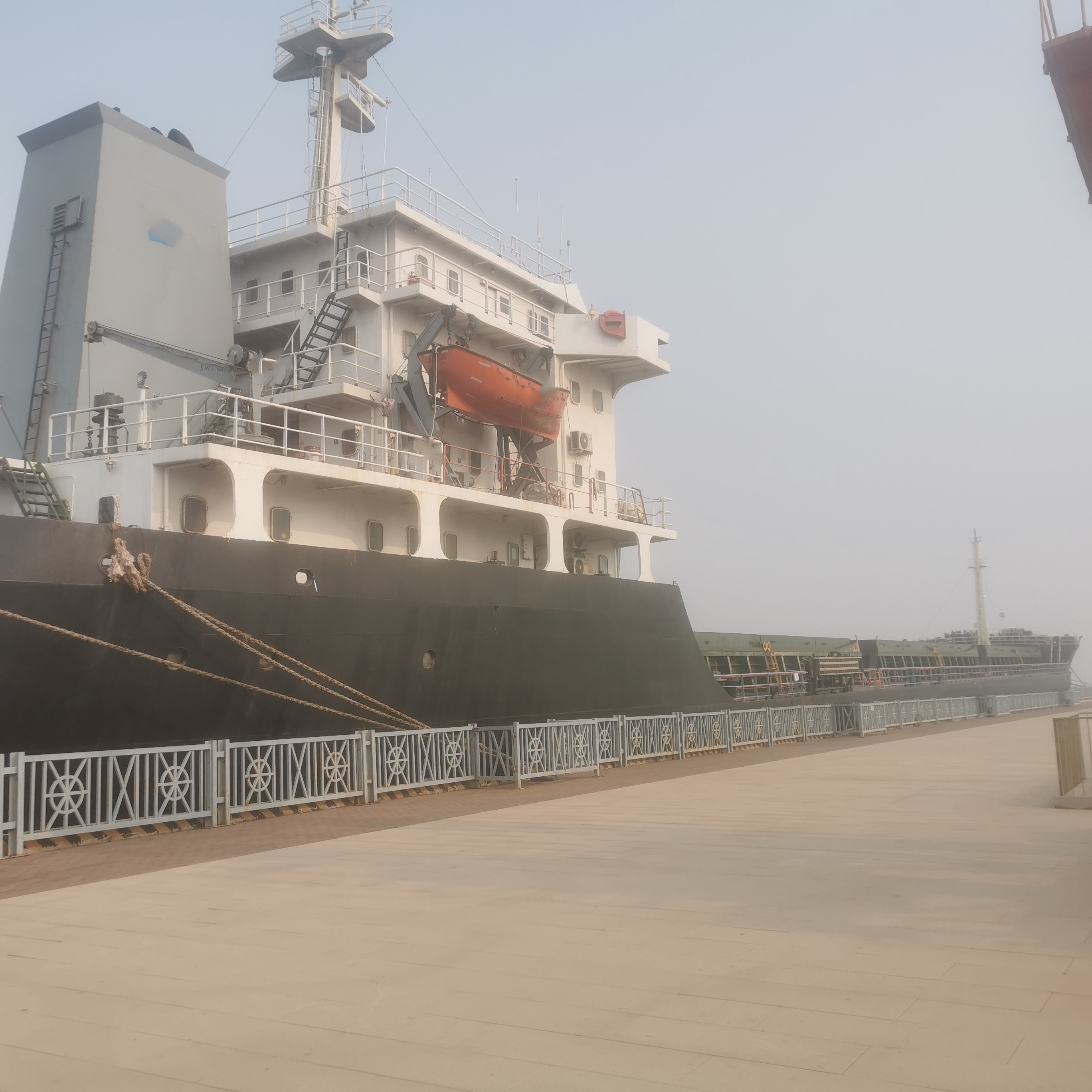 10778 T Bulk Carrier For Sale