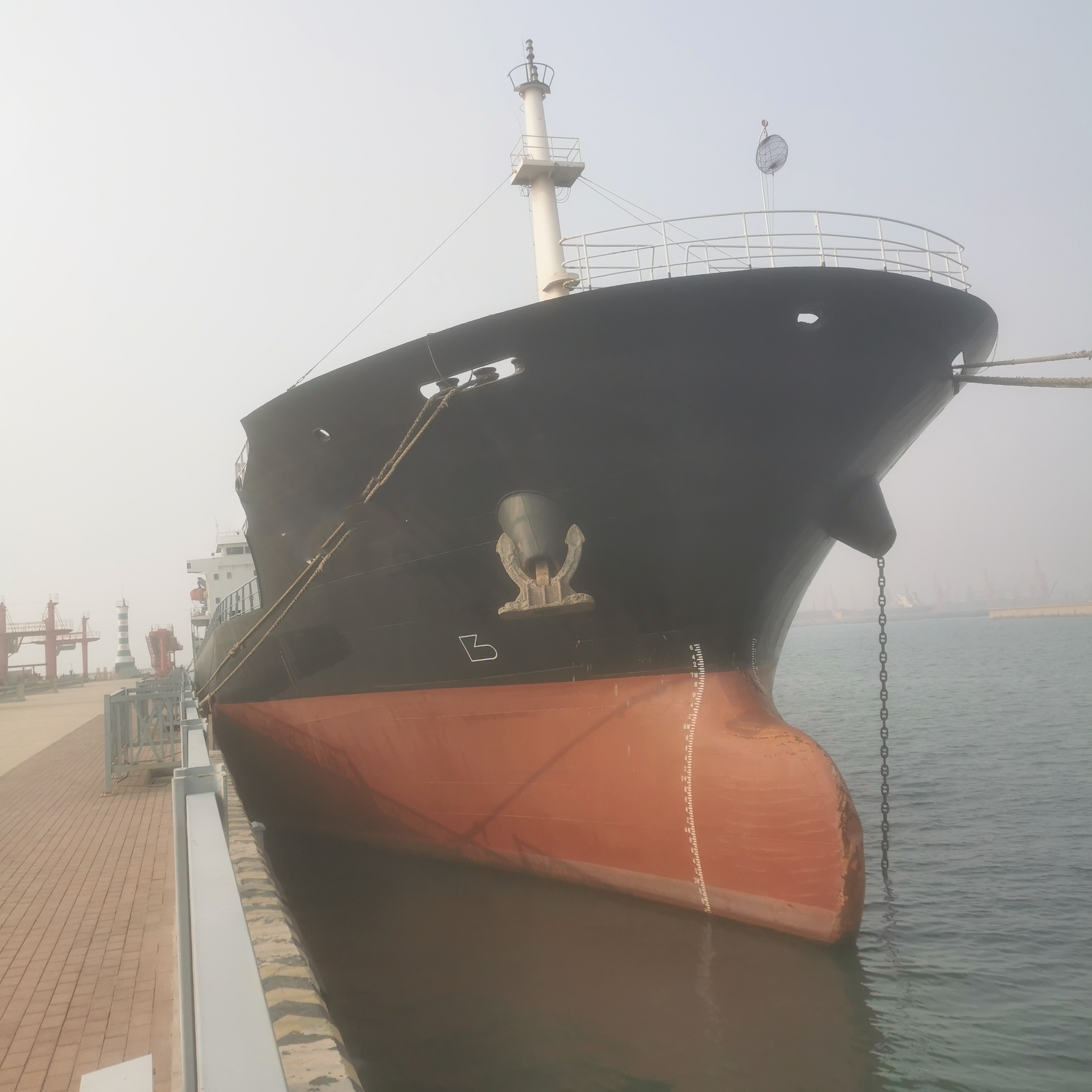 10778 T Bulk Carrier For Sale