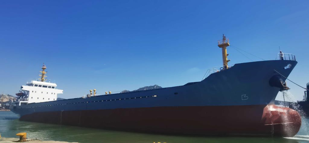 5005 T Bulk Carrier For Sale