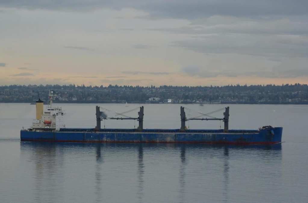 58740 T Bulk Carrier For Sale