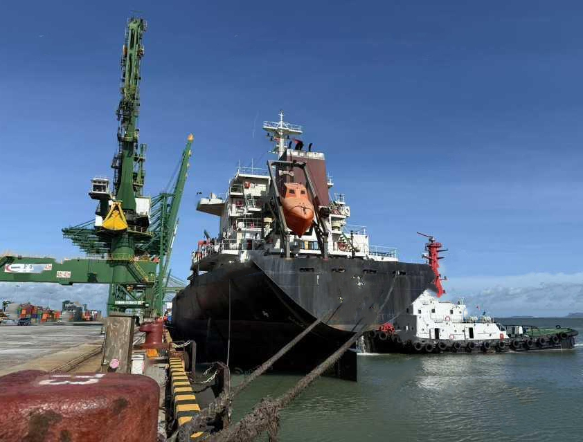 16313 T Bulk Carrier For Sale