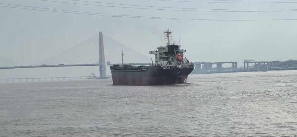 16300 T Bulk Carrier For Sale