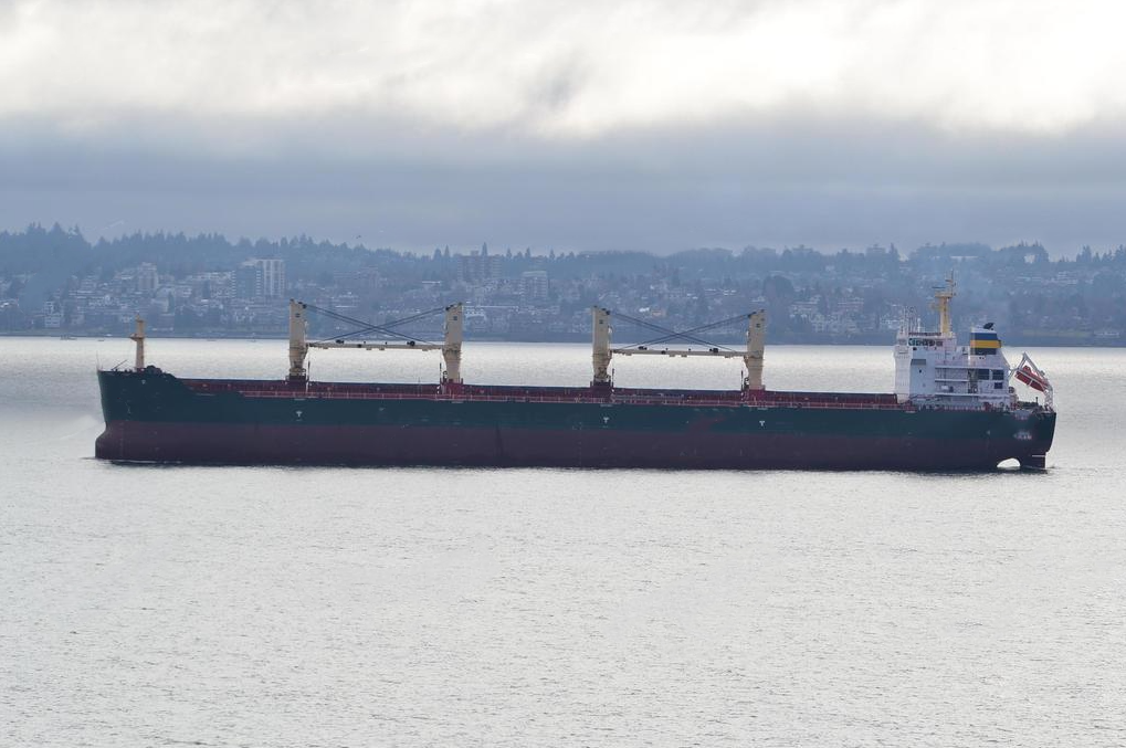 56730 T Bulk Carrier For Sale
